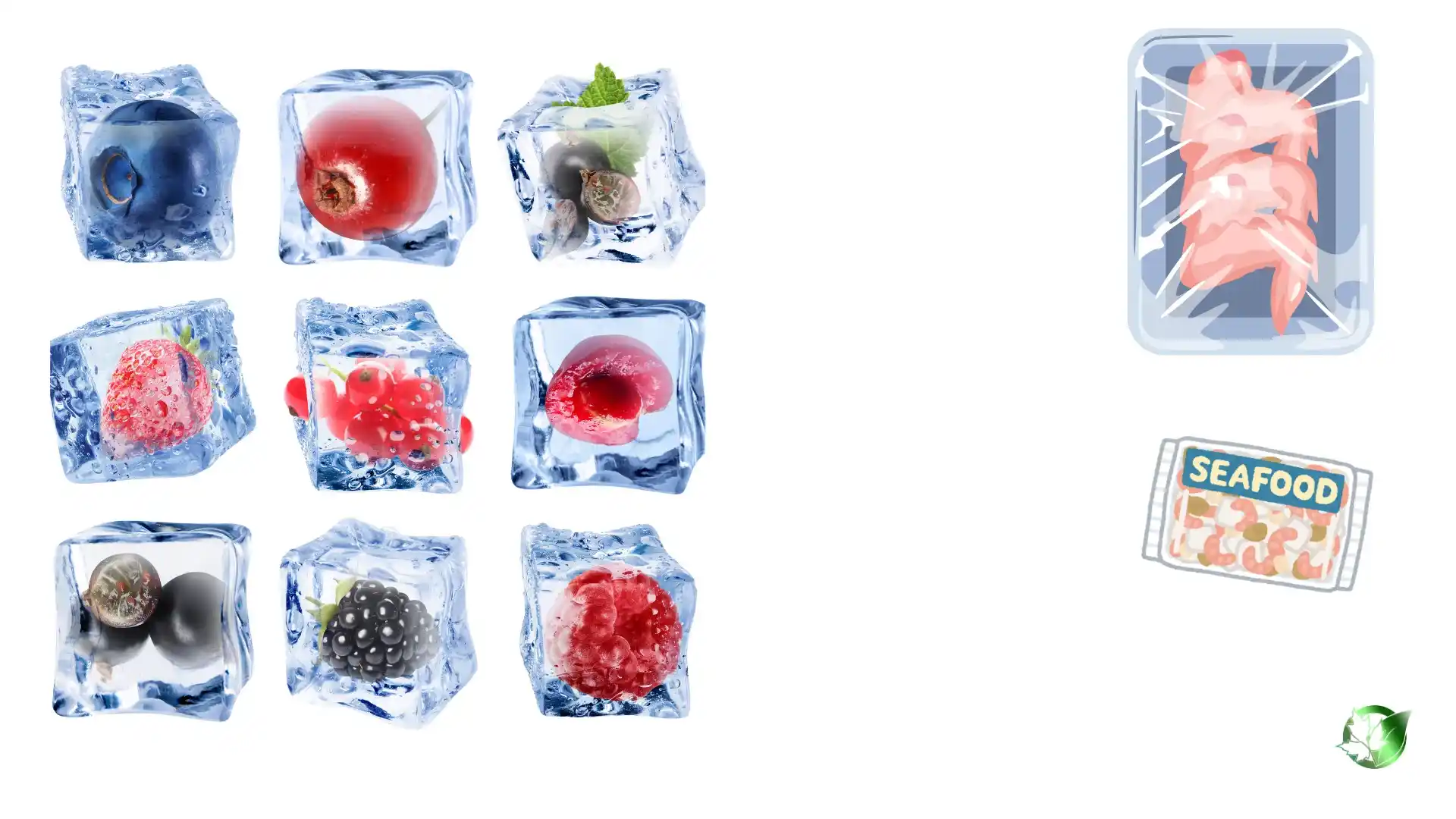 Frozen Foods quality, format, and packaging should be matched to the buyer’s target application.